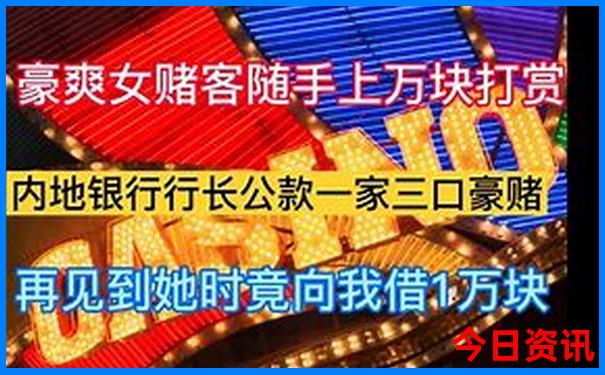71361cm资料查询网址